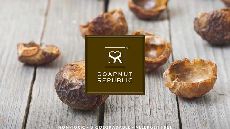 What are Soapnuts?