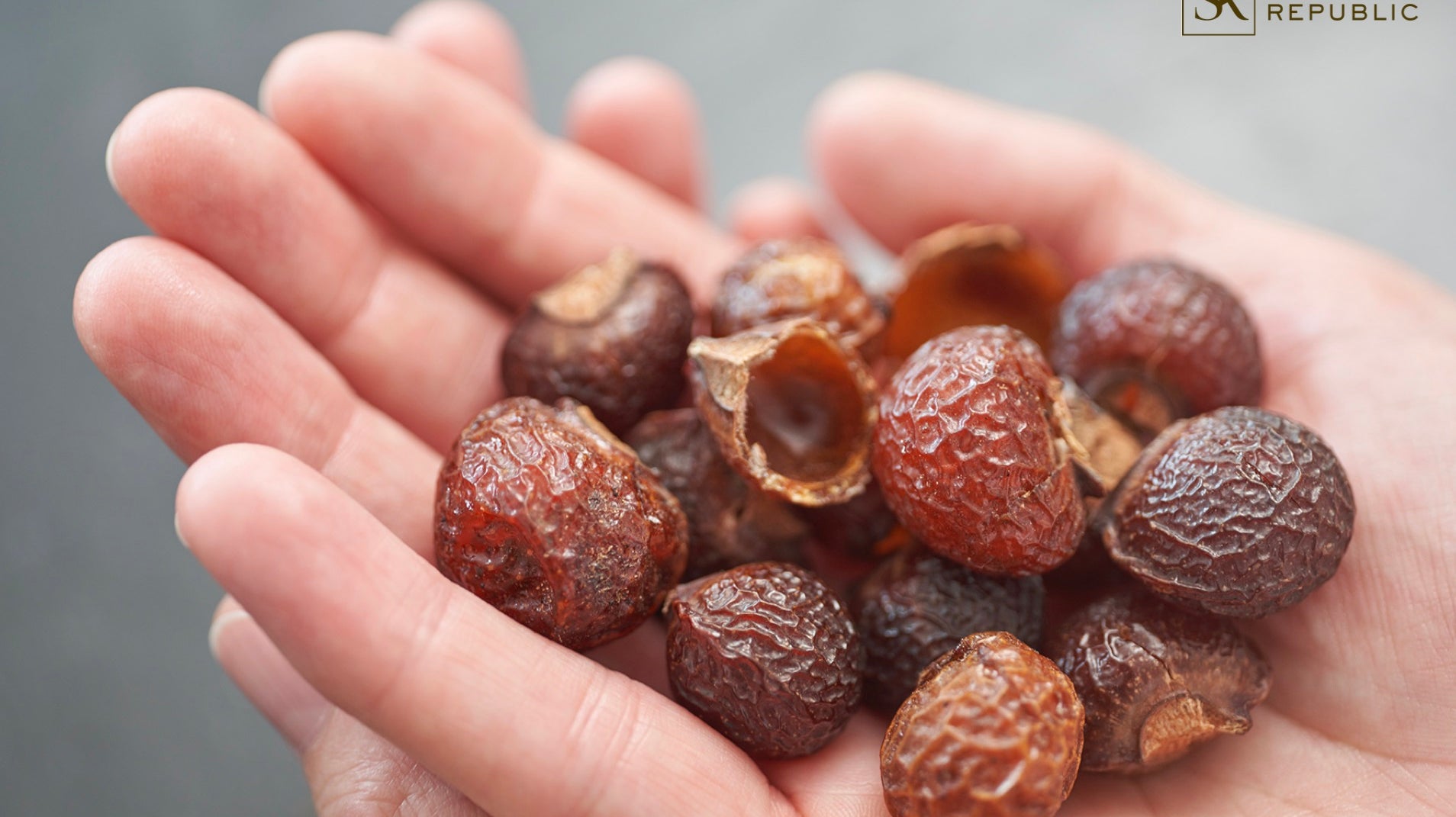 Soapnuts: A Safer And Sustainable Soap