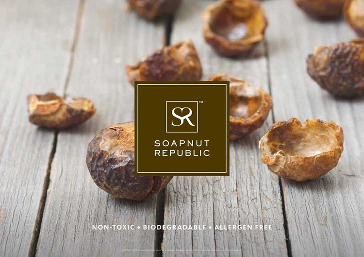 What are Soapnuts?