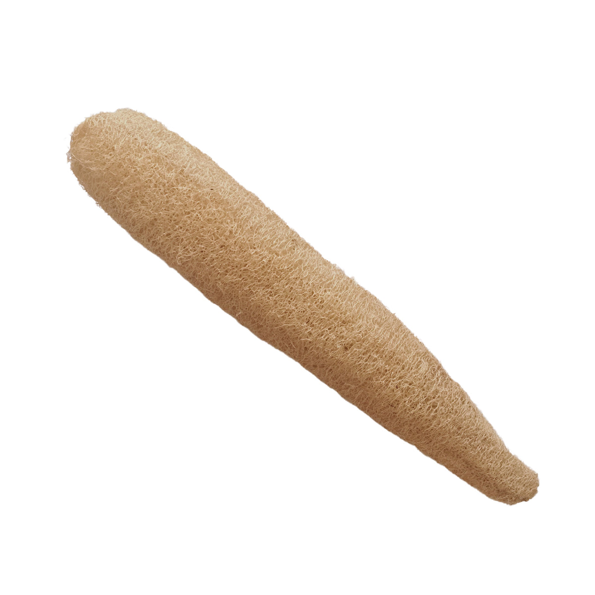Loofah (Whole) - Soapnut Republic