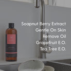 Essential Bundle with Mint Hand Soap - Soapnut Republic