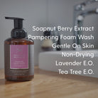 Essential Bundle - Soapnut Republic