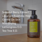 Hand Soap Trio Bundle - Soapnut Republic