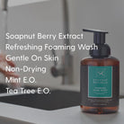 Hand Soap Trio Bundle - Soapnut Republic