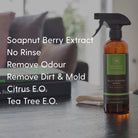 Essential Bundle with Mint Hand Soap - Soapnut Republic