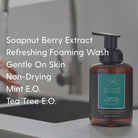 Foaming Hand Soap with Mint E.O. (5L) - Soapnut Republic