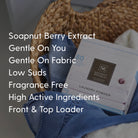 Laundry Powder (1Kg) - Soapnut Republic