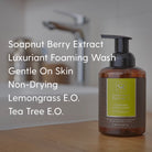 Foaming Hand Soap with Lemongrass E.O. (5L) - Soapnut Republic