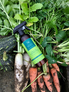 Fruit & Vegetable Wash (500ml) - Soapnut Republic Singapore - Natural Cleaning